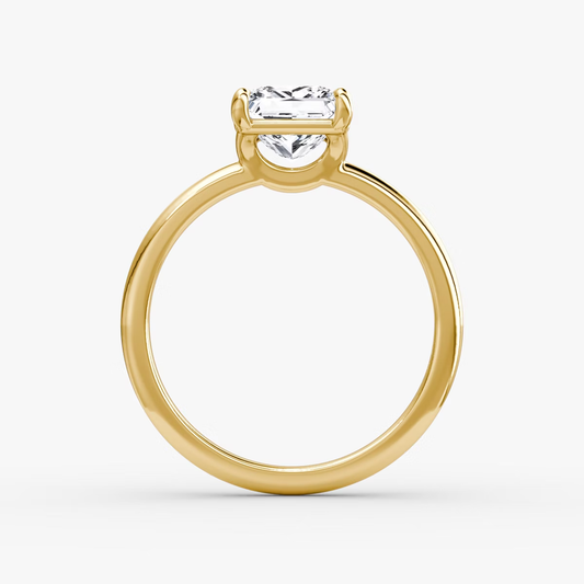 The Signature Princess Engagement Ring in Plain Standard Band