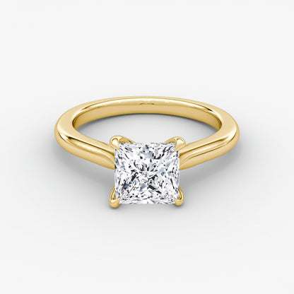 Trellis Cathedral Princess Plain Engagement Ring