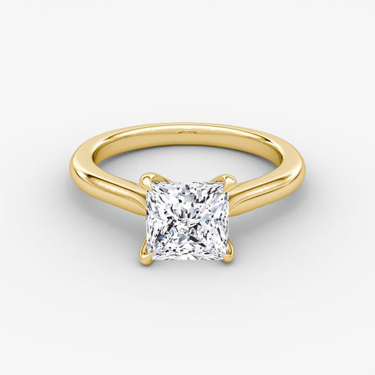 Trellis Cathedral Princess Plain Engagement Ring