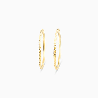 Classic Hoop Earrings